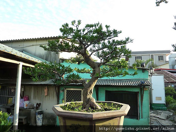 P1030062.jpg P1030062.jpg