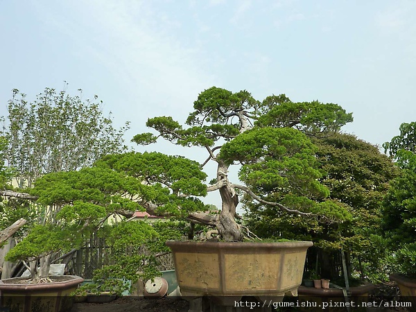 110650.jpg 110650.jpg