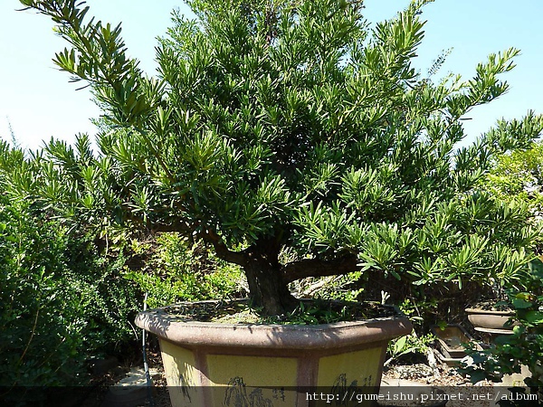 P1030324.jpg P1030324.jpg