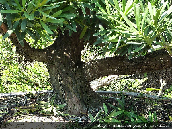 P1030330.jpg P1030330.jpg