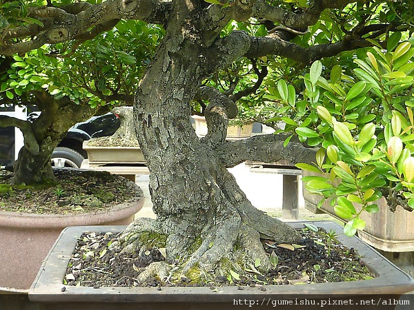 Image00002.jpg Image00002.jpg