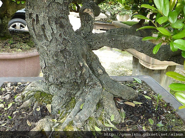 Image00003.jpg Image00003.jpg