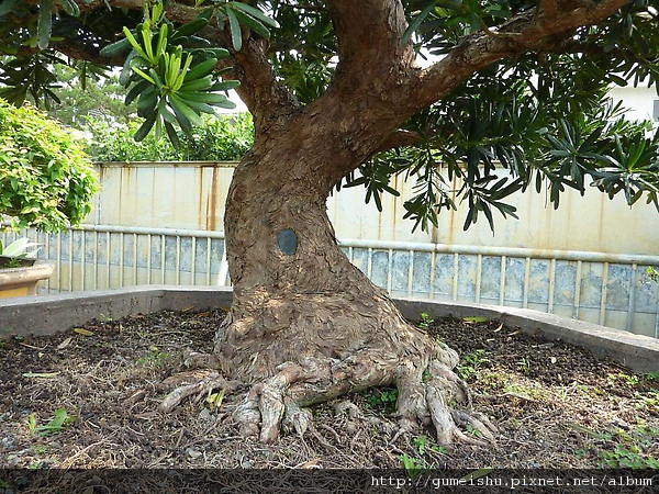 111159.jpg 111159.jpg