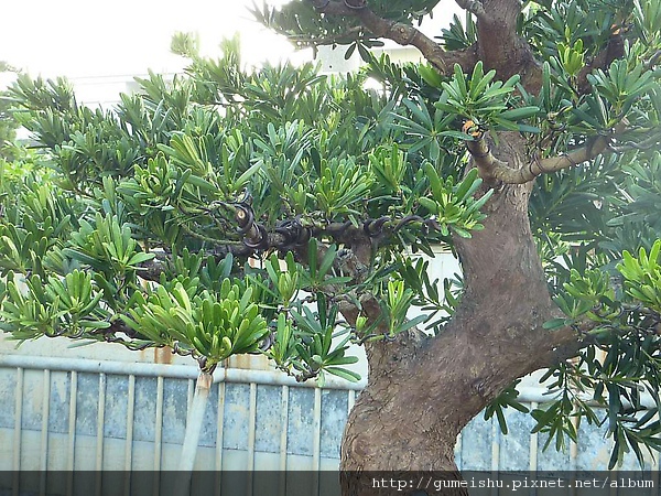 072151.jpg 072151.jpg