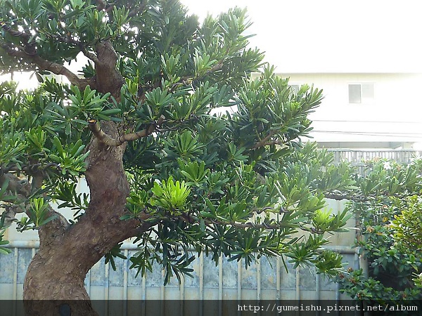 072156.jpg 072156.jpg