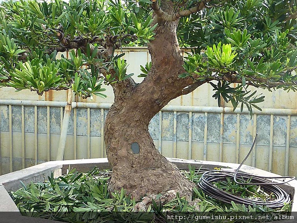 092541.jpg 092541.jpg