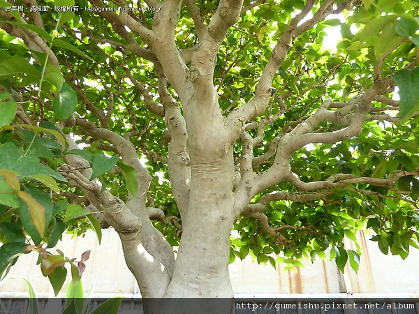 111249.jpg 111249.jpg