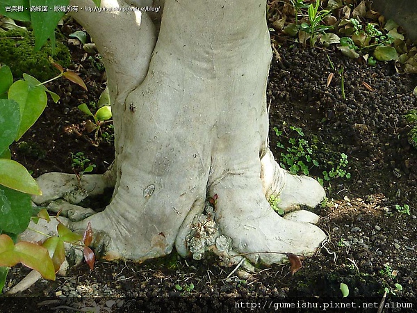 111238.jpg 111238.jpg