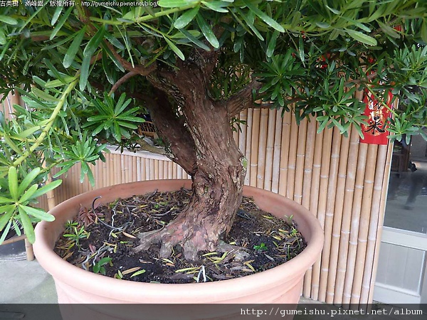 164749.jpg 164749.jpg