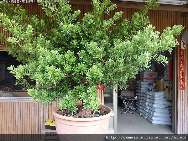 164814.jpg 164814.jpg