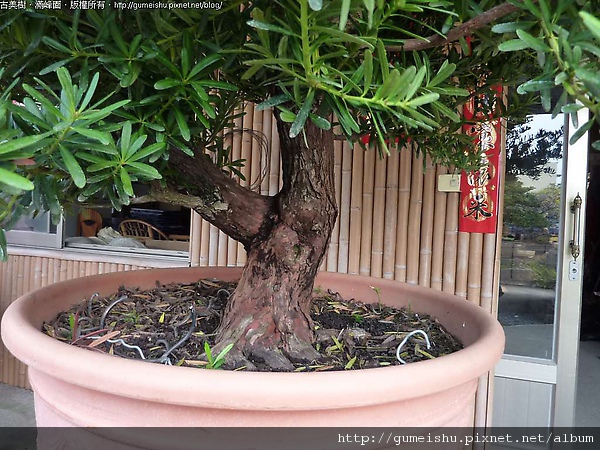 164838.jpg 164838.jpg