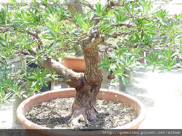 114006.jpg 114006.jpg