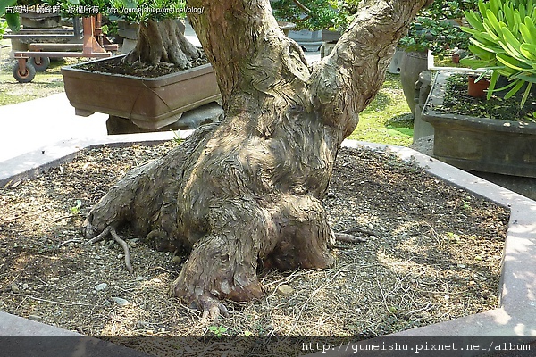 122713.jpg 122713.jpg