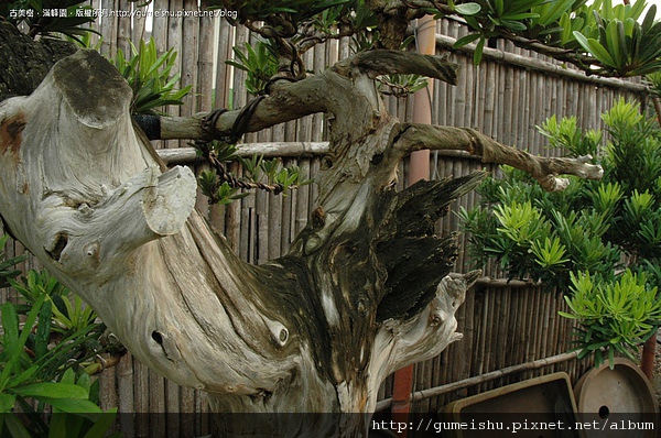 DSC_0119.jpg DSC_0119.jpg