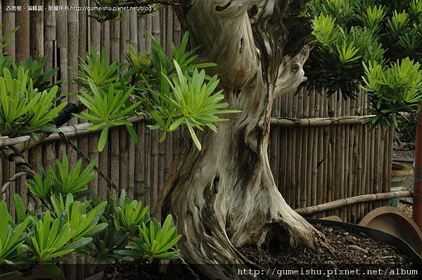 DSC_0114.jpg DSC_0114.jpg