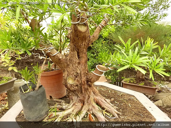 172539.jpg 172539.jpg