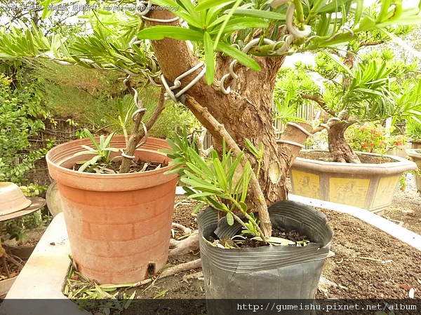 172551.jpg 172551.jpg