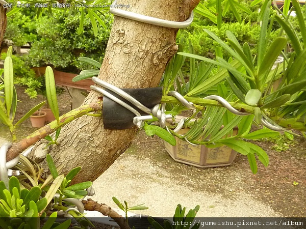 172615.jpg 172615.jpg