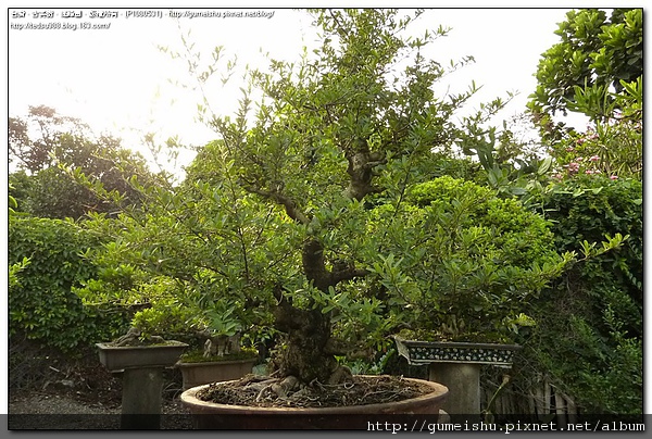 P1080531.jpg P1080531.jpg