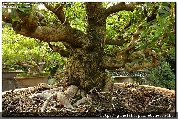 P1080538.jpg P1080538.jpg