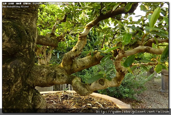 P1080544.jpg P1080544.jpg