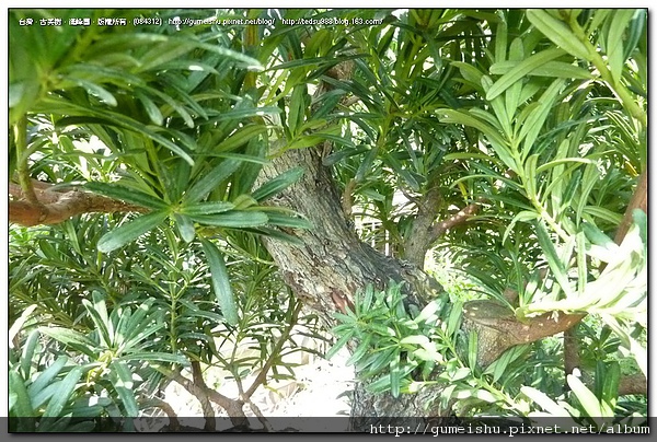 084312.jpg 084312.jpg