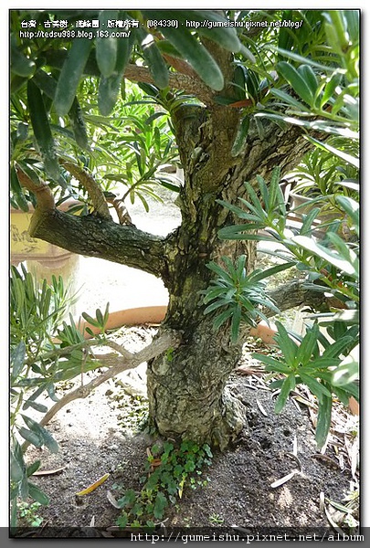 084330.jpg 084330.jpg