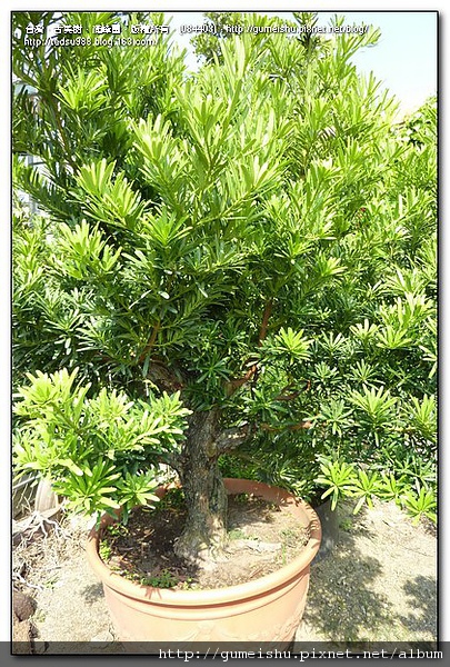 084403.jpg 084403.jpg