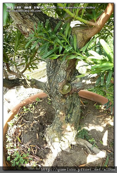 084416.jpg 084416.jpg