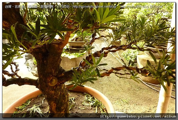 173259.jpg 173259.jpg