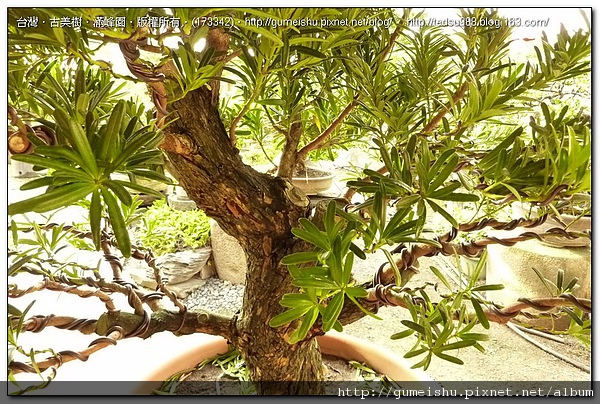 173342.jpg 173342.jpg