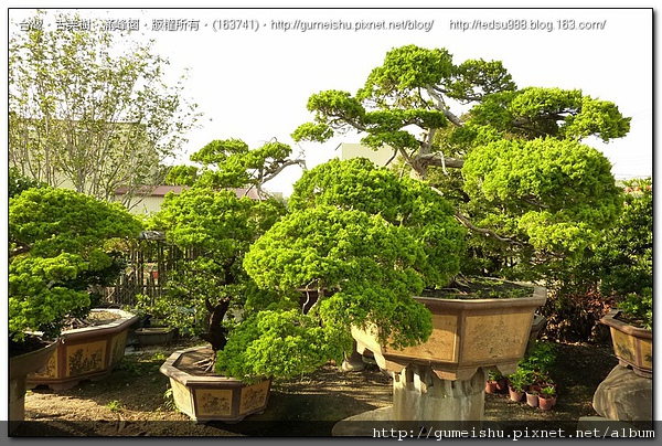 163741.jpg 163741.jpg