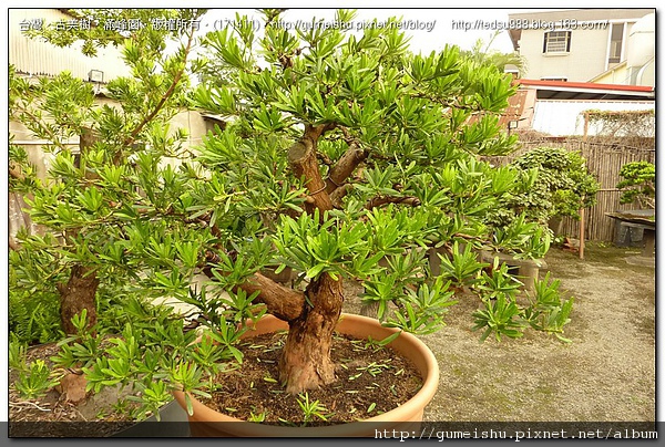 171411.jpg 171411.jpg