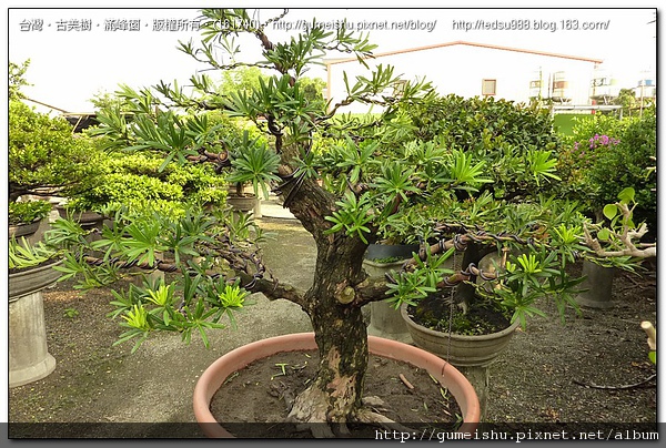 161740.jpg 161740.jpg