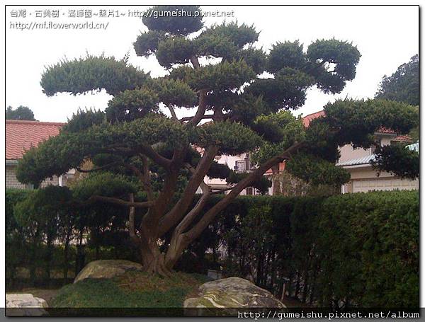 照片1.jpg 照片1.jpg