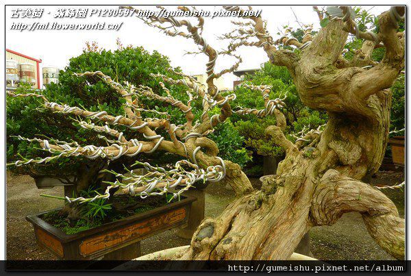 P1280597.jpg P1280597.jpg