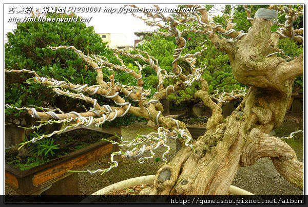 P1280601.jpg P1280601.jpg