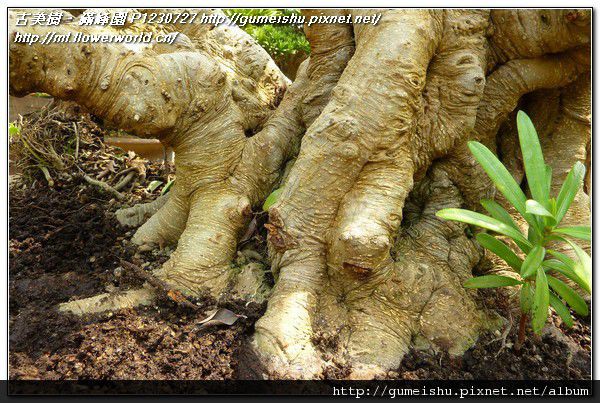 P1230727.jpg P1230727.jpg