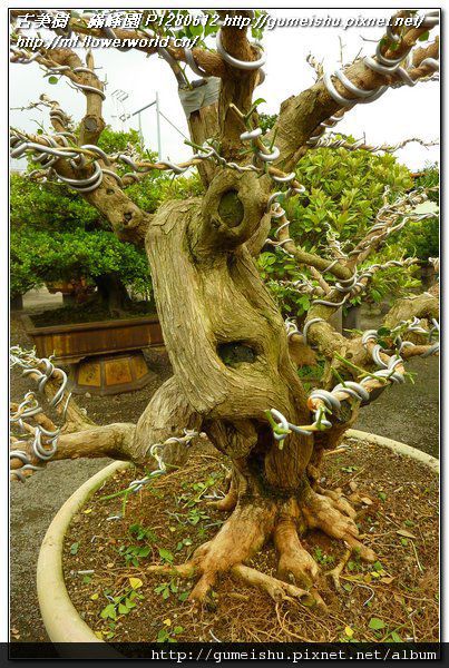 P1280612.jpg P1280612.jpg