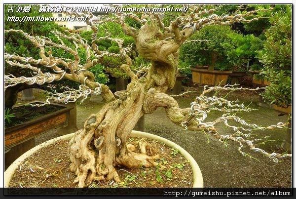 P1280594.jpg P1280594.jpg