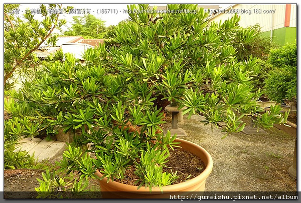 165711.jpg 165711.jpg