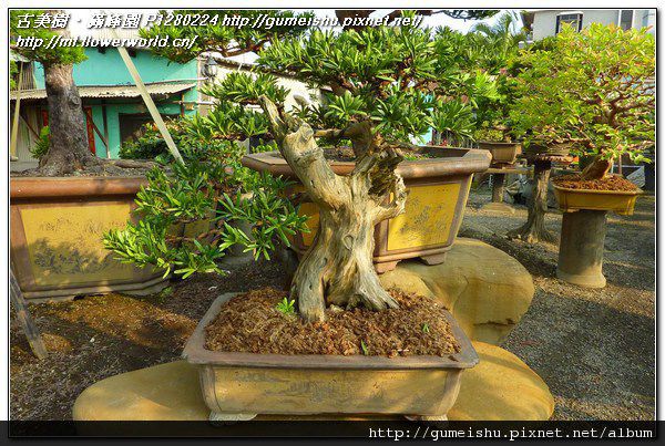 P1280224.jpg P1280224.jpg