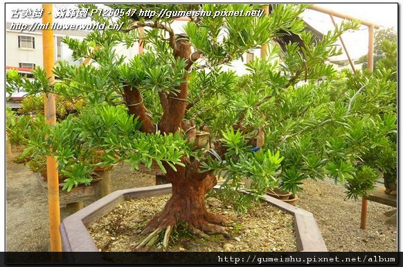 P1260547.jpg P1260547.jpg