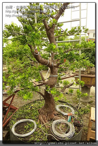 112148.jpg 112148.jpg