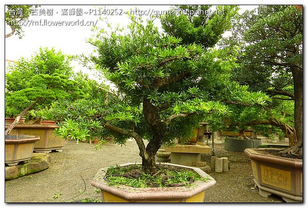 P1140252.jpg P1140252.jpg