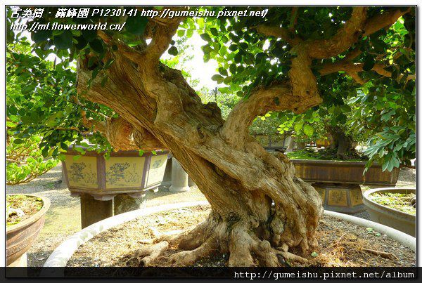 P1230141.jpg P1230141.jpg