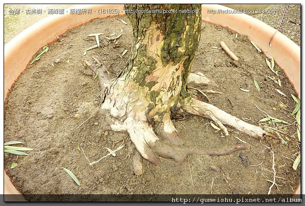 161825.jpg 161825.jpg