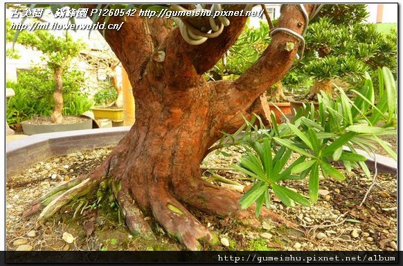 P1260542.jpg P1260542.jpg