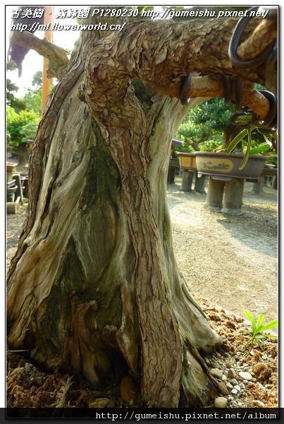 P1280230.jpg P1280230.jpg