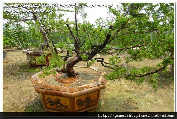 P1270056.jpg P1270056.jpg